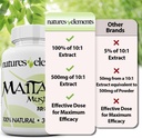 maitake-mushroom-pack-of-3-101-extract-5-6.jpg