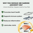iceland-pure-sardine-anchovy-oil-wild-ca-5.jpg