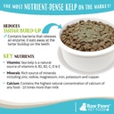 raw-paws-organic-kelp-powder-for-dogs-ca-5.jpg