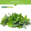 naturalma-lemon-balm-melissa-officinalis-4.jpg