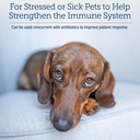 rx-vitamins-liquid-immuno-dog-cat-immune-4.jpg