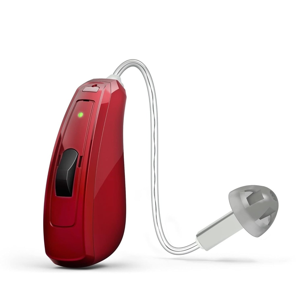 hearing-aid-domes-smoky-gray-tips-ear-pi-2.jpg