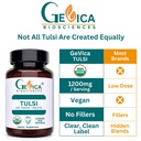 tulsi-holy-basil-supplement-usda-organic-6.jpg
