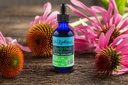 dr-rydlands-herbal-supplement-created-by-2.jpg