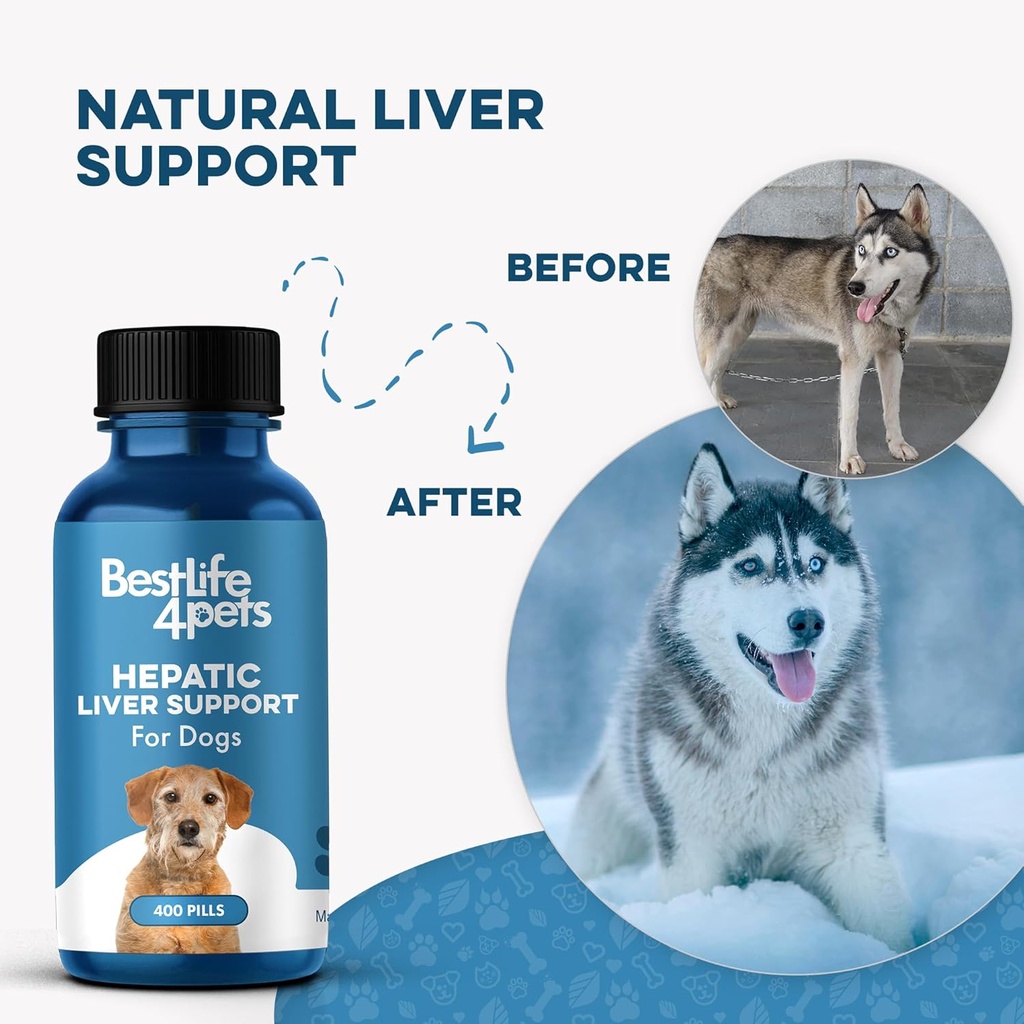 hepatic-liver-support-for-dogs-dissolvab-3.jpg