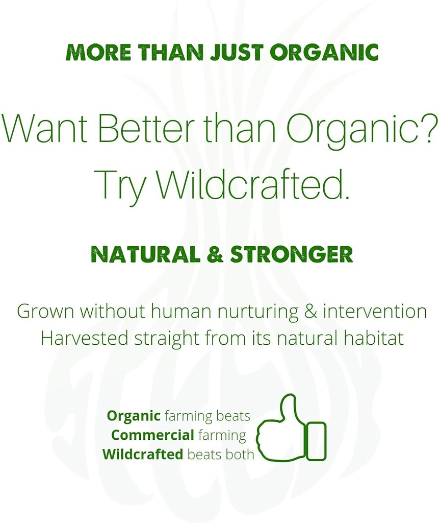 classic-herbal-livergallbladder-cleanse--4.jpg