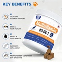 dog-vitamins-and-supplements-dog-multivi-2.jpg