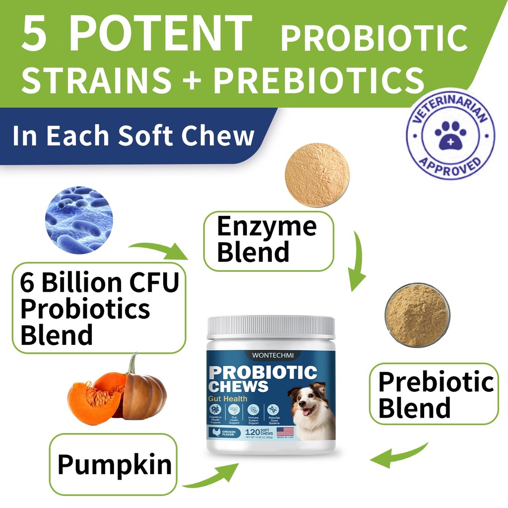 probiotics-for-dogs-improve-itchy-skin-i-3.jpg