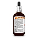 ginseng-panax-ginseng-dry-root-tincture--3.jpg
