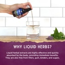 wishgarden-herbs-kick-ass-immune-echinac-5.jpg