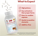 andrew-lessman-vitamin-d3-4000-iu-360-ca-4.jpg
