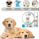 the-blissful-dog-15-oz-tube-golden-retri-6.jpg