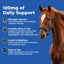 animed-biotin-100-daily-horse-hoof-suppl-5.jpg