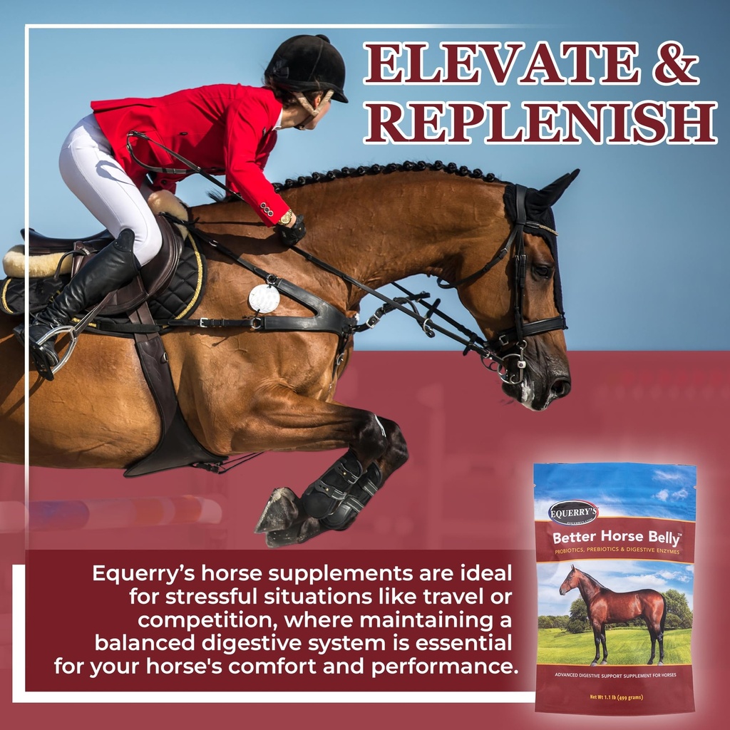 equerry-s-better-horse-belly-gut-support-6.jpg