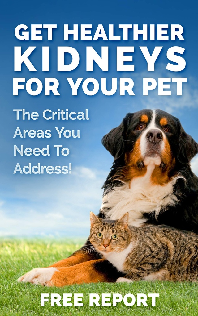 cat-and-dog-kidney-support-natural-renal-4.jpg