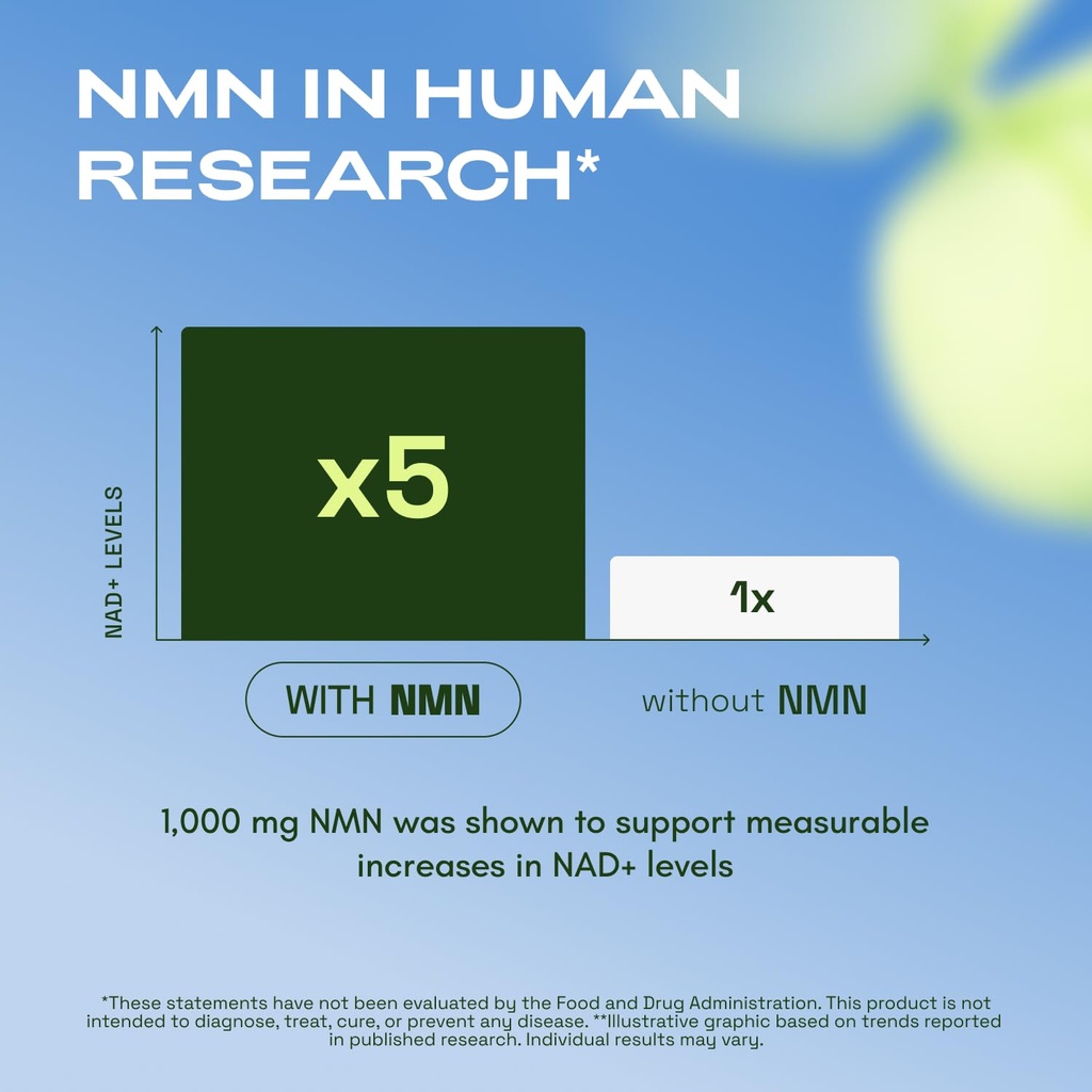 cata-kor-nmn-supplement-powder-1000-mg-p-61v5mw9PSSL.jpg