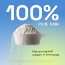cata-kor-nmn-supplement-powder-1000-mg-p-61bOdBTvuxL.jpg