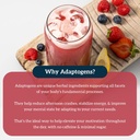 organifi-red-juice---energy-powder-reduc-6.jpg
