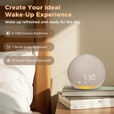 sound-machine-alarm-clock-for-bedroom-25-716zIZnyv8L.jpg