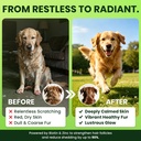 omega-3-6-9-for-dogs-fish-oil-skin-coat--81wk+-Mx+SL.jpg