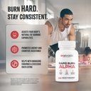 rapid-burn-alpha-fat-burner-for-men-supp-71TI1fxPaWL.jpg