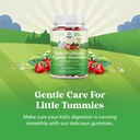 natures-craft-usda-organic-probiotic-gum-3.jpg