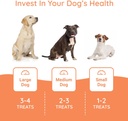 petralyte-dog-electrolyte-and-joint-supp-5.jpg