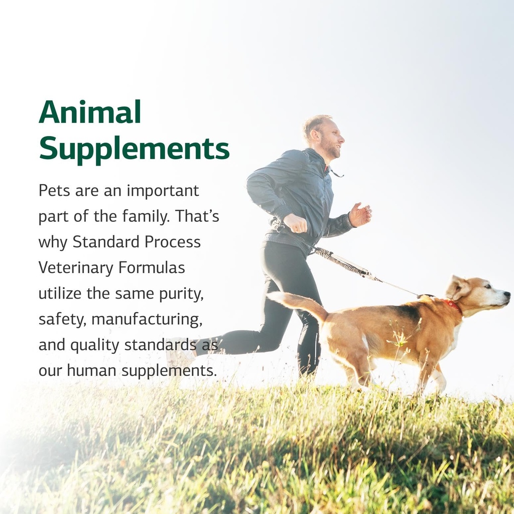 standard-process-canine-enteric-support--71WouCEN3DL.jpg
