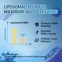 nmn-supplement-500mg-liposomal-nmn-capsu-71Pu4dCIDwL.jpg