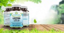 livamed-lecithin-1-200-mg-softgels-200-c-81WYS72DW0L.jpg