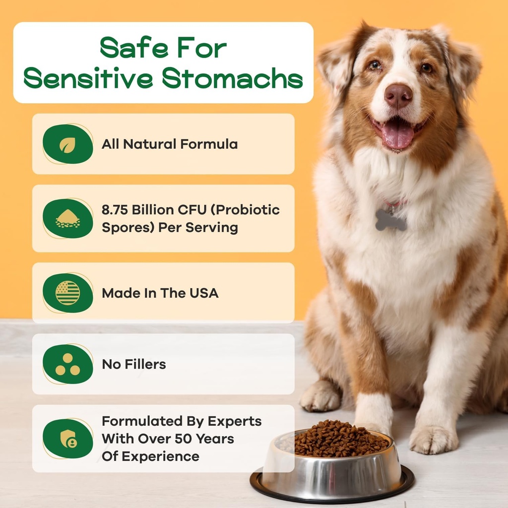 dog-probiotics-for-digestive-health---pr-6.jpg