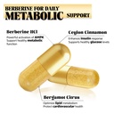 berberine-supplement-with-ceylon-cinnamo-71Z3gTyGKLL.jpg