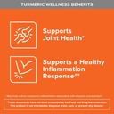 turmeric-curcumin-with-black-pepper-ging-61p9UIuRIPL.jpg