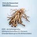 miduty-ashwagandha-3x-supplement-500-mg--61GGXHrMSKL.jpg