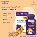 siddhayu-by-baidyanath-ashwagandha-table-61rQ0DmoKbL.jpg