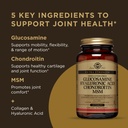 solgar-glucosamine-hyaluronic-acid-chond-71Wqybip1RL.jpg