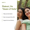 kapiva-organic-shatavari-powder-100gms-p-61jWu8NYpML.jpg