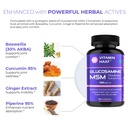 glucosamine-chondroitin-msm-pain-and-joi-71ZeaPyycEL.jpg