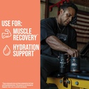 rule1-r1-essential-amino-9-recovery-hydr-81cy5EY+D5L.jpg