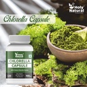holy-natural-chlorella-capsule-450-mg-ca-81MP8j6naXL.jpg