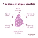 ayurvedic-lactation-enhancer-capsules-sh-71Xr8pZZAkL.jpg