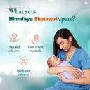 himalaya-shatavari-tablet-for-lactation--61hkb27OcBL.jpg