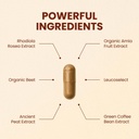 choq-action-20-energy-circulation-suppor-2.jpg