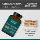 ashwagandha-tablets-5000mg-90-count-help-818Wc+G3NLL.jpg