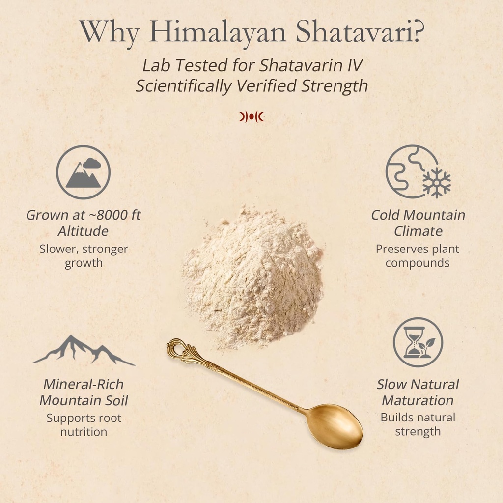 himalayan-shatavari-powder-80g-for-women-710G0Vz6fKL.jpg