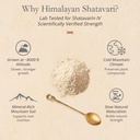 himalayan-shatavari-powder-80g-for-women-710G0Vz6fKL.jpg