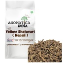 yellow-shatavari-roots-100-pure-natural--61XOJmm86sL.jpg
