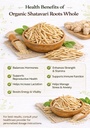 virat-international-shatavari-root-whole-71gEkQu8blL.jpg