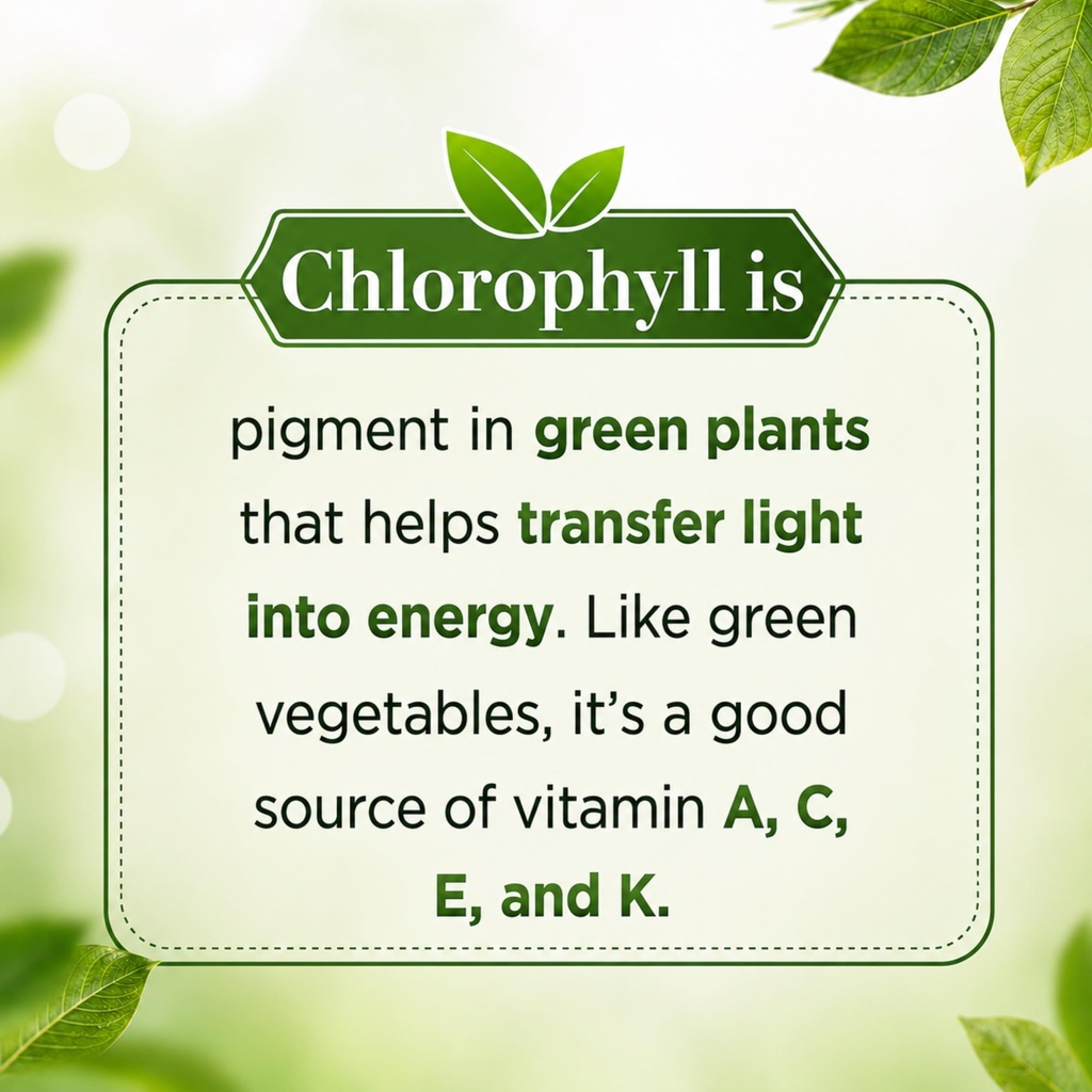 chlorophyll-drops-liquid-for-drinking-30-71Lrpq-+SgL.jpg
