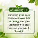 chlorophyll-drops-liquid-for-drinking-30-71Lrpq-+SgL.jpg
